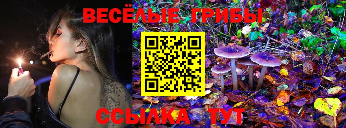 где продают наркотики  Вход с VPN  Златоуст  Галлюциногенные грибы ЛСД 