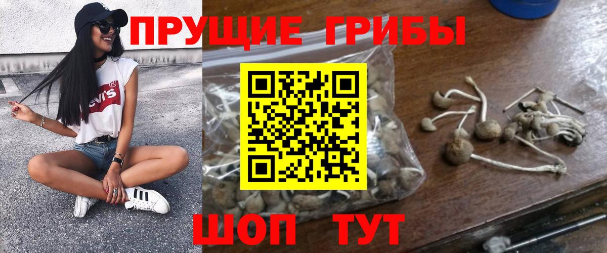 Галлюциногенные грибы Cubensis Златоуст
